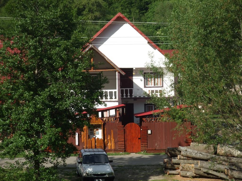 Hotel Casa Denisa Vidraru Transfgarasan Căpăţîneni-Ungureni Exterior foto